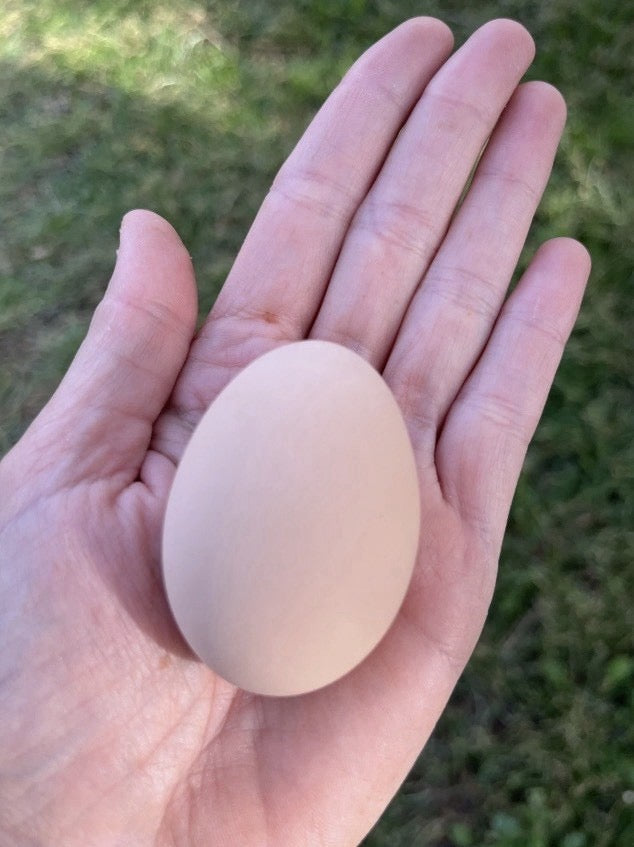 Bantam Bielefelder
