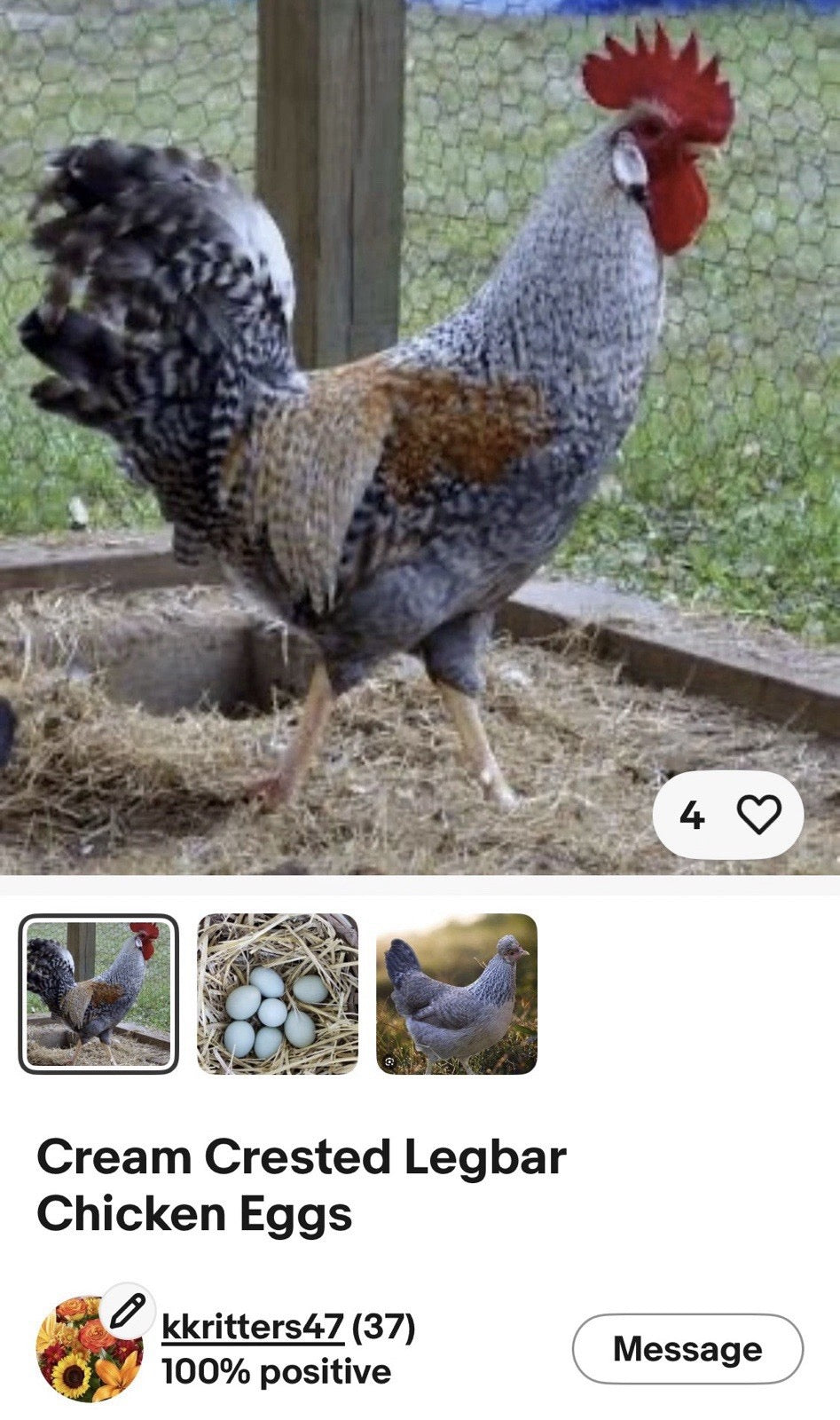 Hens Choice 100% Pure Lines Hatching Eggs!