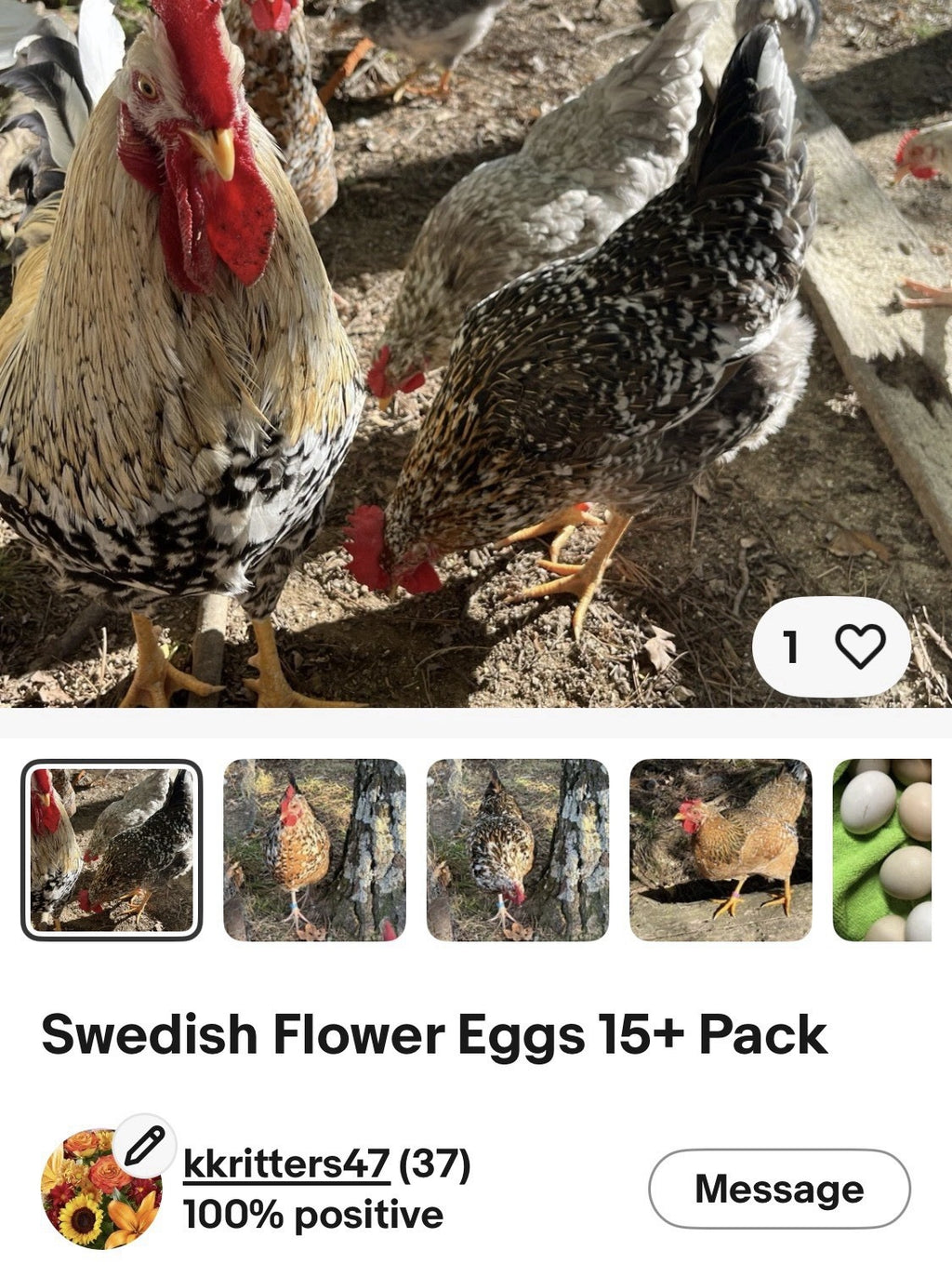 Hens Choice 100% Pure Lines Hatching Eggs!