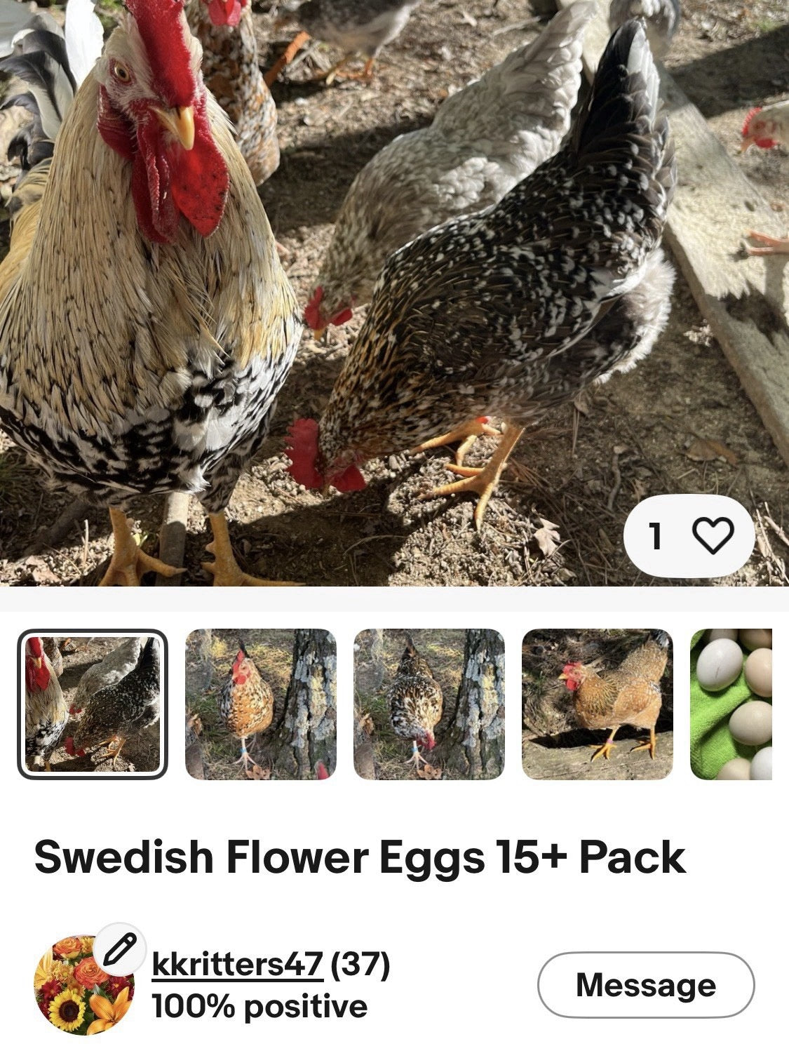 Hens Choice 100% Pure Lines Hatching Eggs!