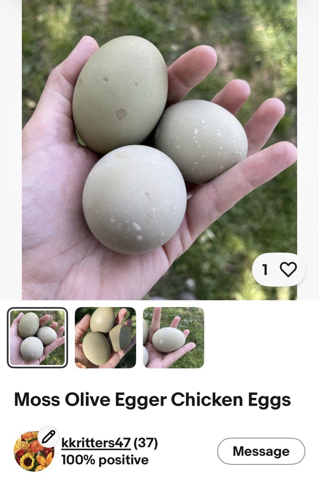 Hens Choice 100% Pure Lines Hatching Eggs!