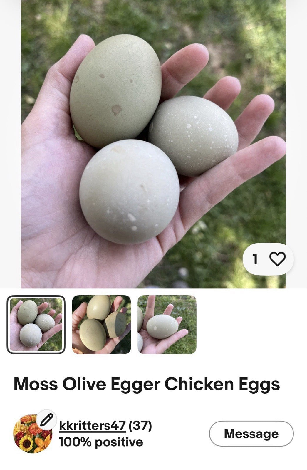 Hens Choice 100% Pure Lines Hatching Eggs!